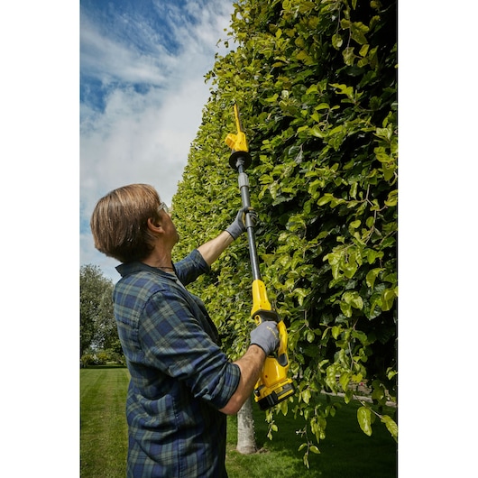 Photo of STANLEY SFMCPH845B pole hedge trimmer in use trimming tall green hedges outdoors.