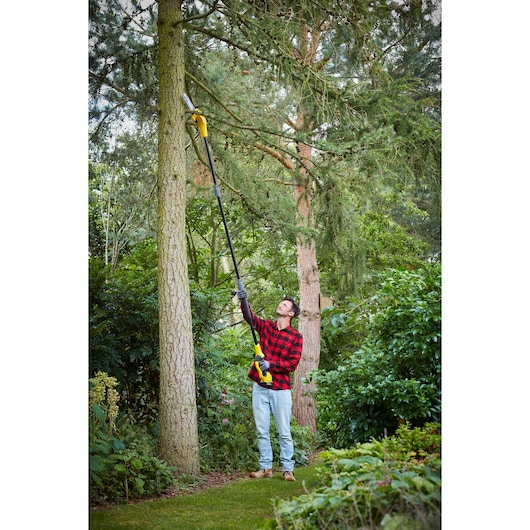 STANLEY SFMCPS620M1 pole saw used outdoors for pruning high tree branches in a garden.